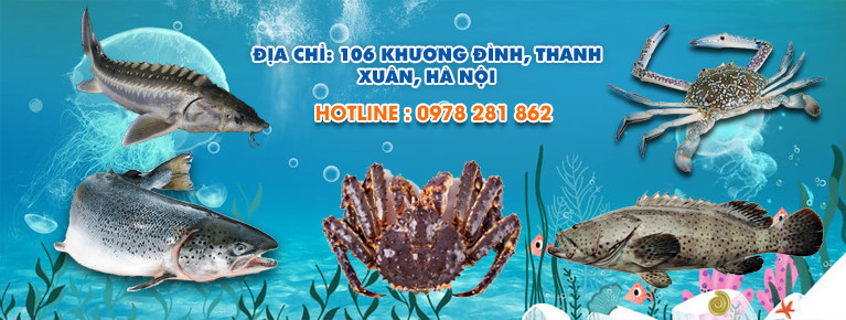 Hải sản 24h